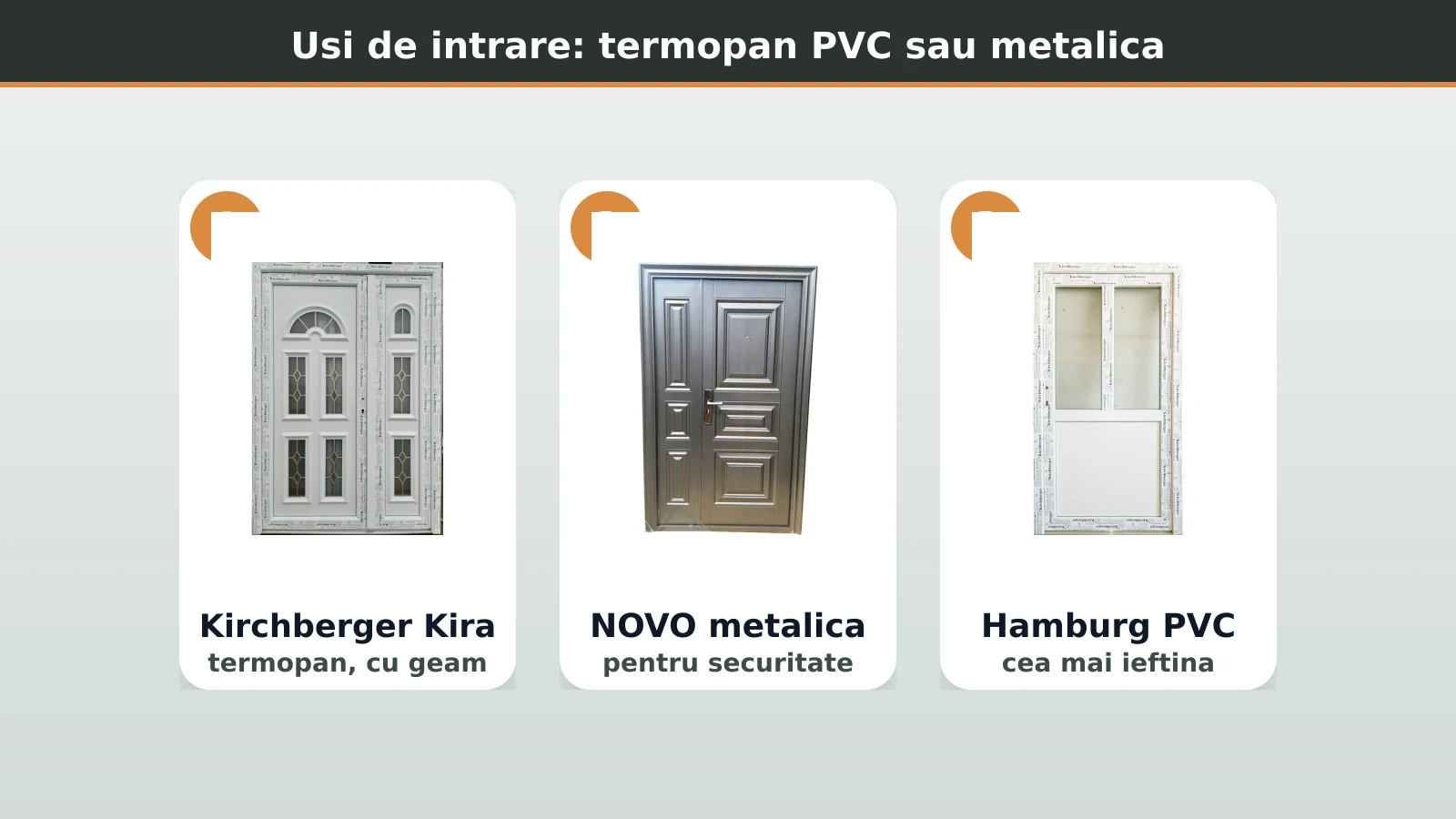 Usi de intrare: Kirchberger termopan PVC si NOVO metalica